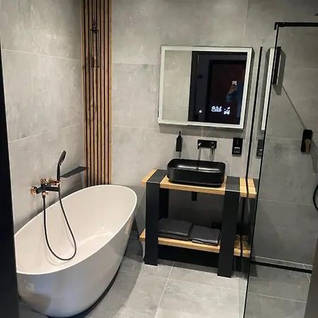 Grey W Czeladzi, Fv, 8km Do Katowic Apartament *