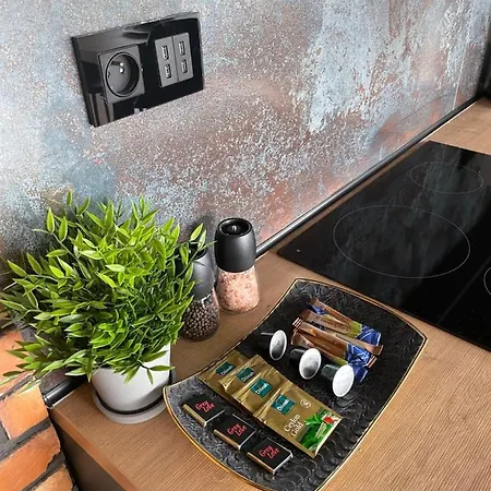 Lejlighed Grey W Czeladzi, Fv, 8km Do Katowic Czeladź