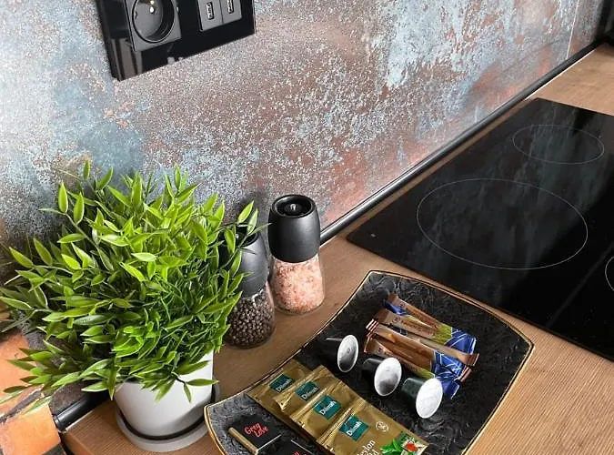 Apartament Grey W Czeladzi, Fv, 8km Do Katowic Czeladź